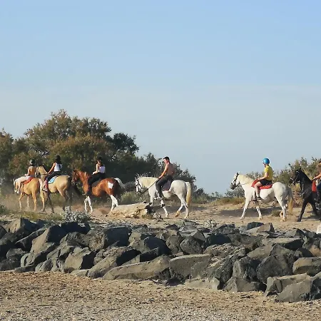 Prázdninový areál Meuble De Tourisme 6/8 Pers Bord De Sur 4*